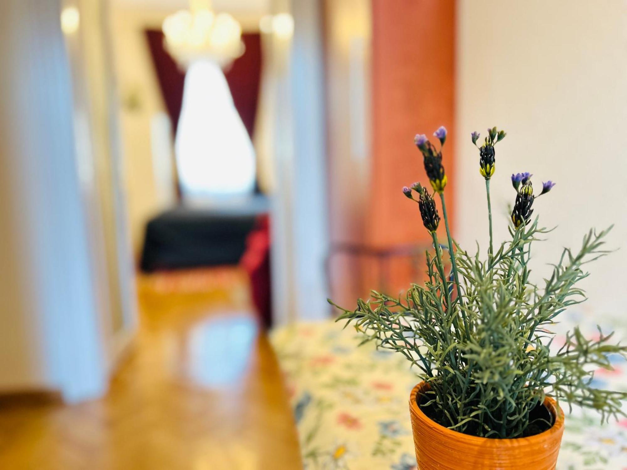 Rakoczi Boulevard 47 Apartment *